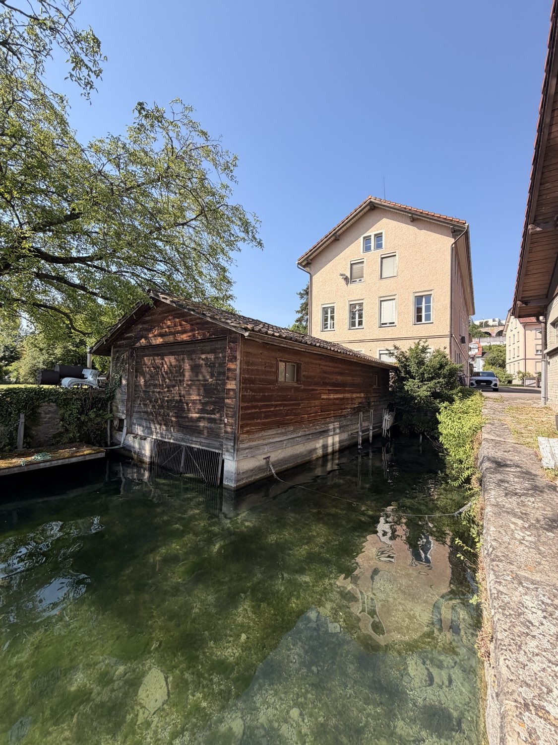 Seeufer mit Bootshaus